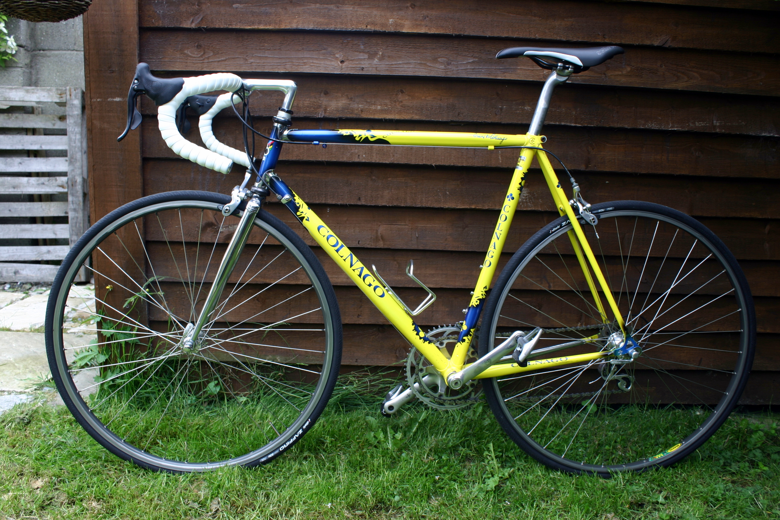 colnago road bike for sale